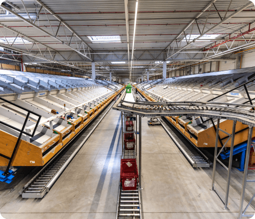 Goods sorter at ILS warehouse / Sorter towarów w magazynie ILS